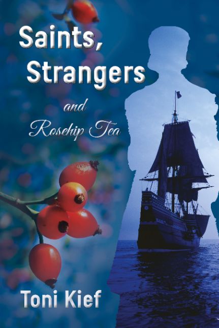 Saints, Strangers and Rosehip Tea Saints, Strangers and Rosehip Tea